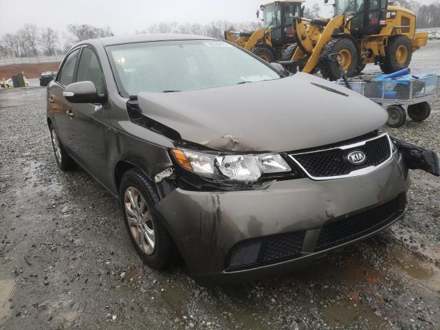 KIA FORTE EX 2010 knafu4a20a5858348