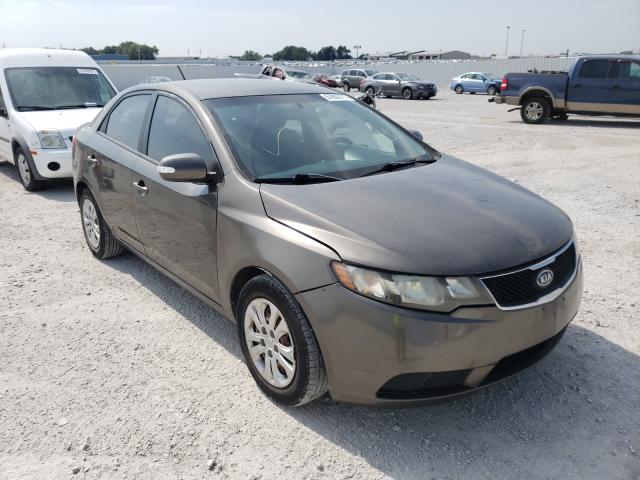 KIA FORTE EX 2010 knafu4a20a5861637