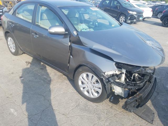 KIA FORTE EX 2010 knafu4a20a5863291