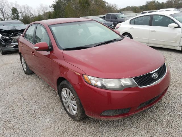 KIA FORTE EX 2010 knafu4a20a5865316