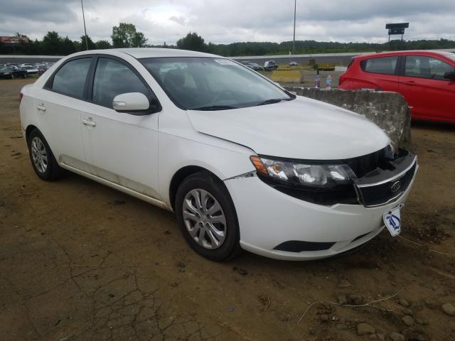 KIA FORTE EX 2010 knafu4a20a5876011