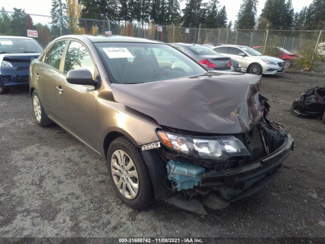 KIA FORTE 2011 knafu4a20b5318063