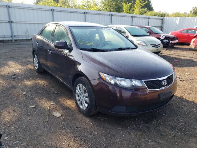 KIA FORTE EX 2011 knafu4a20b5330293