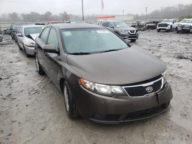 KIA FORTE EX 2011 knafu4a20b5408104