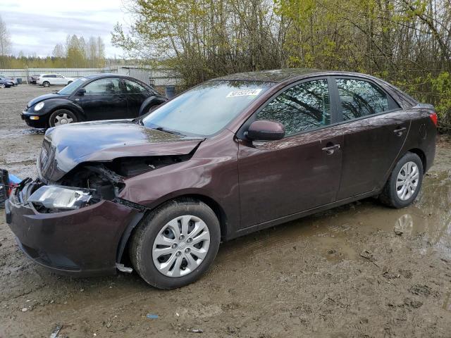 KIA FORTE 2011 knafu4a20b5410449