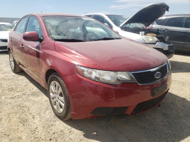 KIA FORTE EX 2011 knafu4a20b5448344