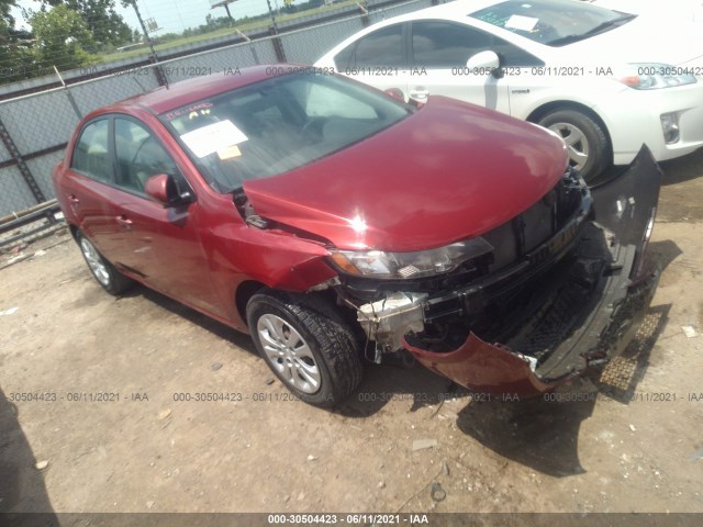 KIA FORTE 2011 knafu4a20b5448439