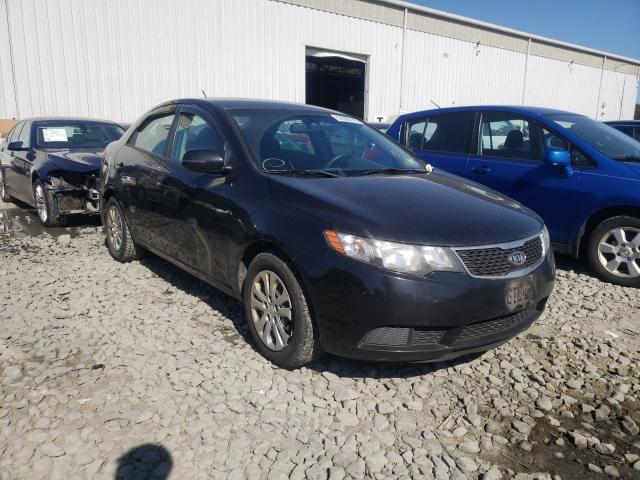 KIA FORTE EX 2012 knafu4a20c5553645