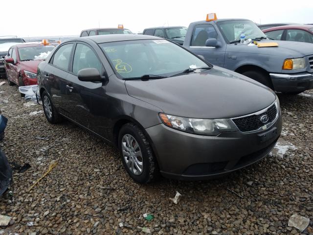 KIA FORTE EX 2012 knafu4a20c5562314