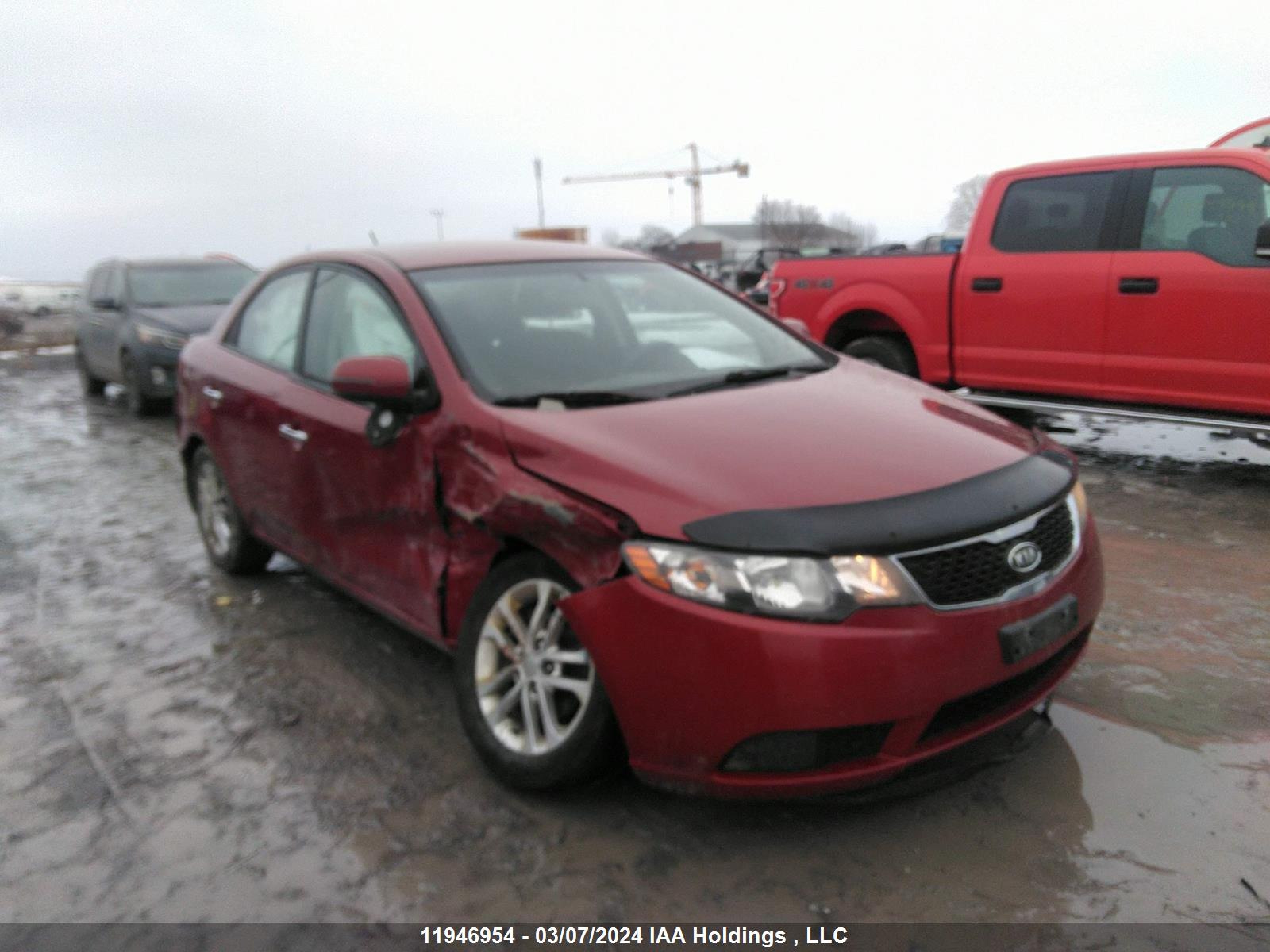 KIA FORTE 2012 knafu4a20c5583714