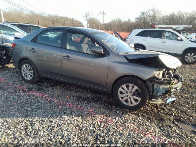 KIA FORTE 2012 knafu4a20c5586662