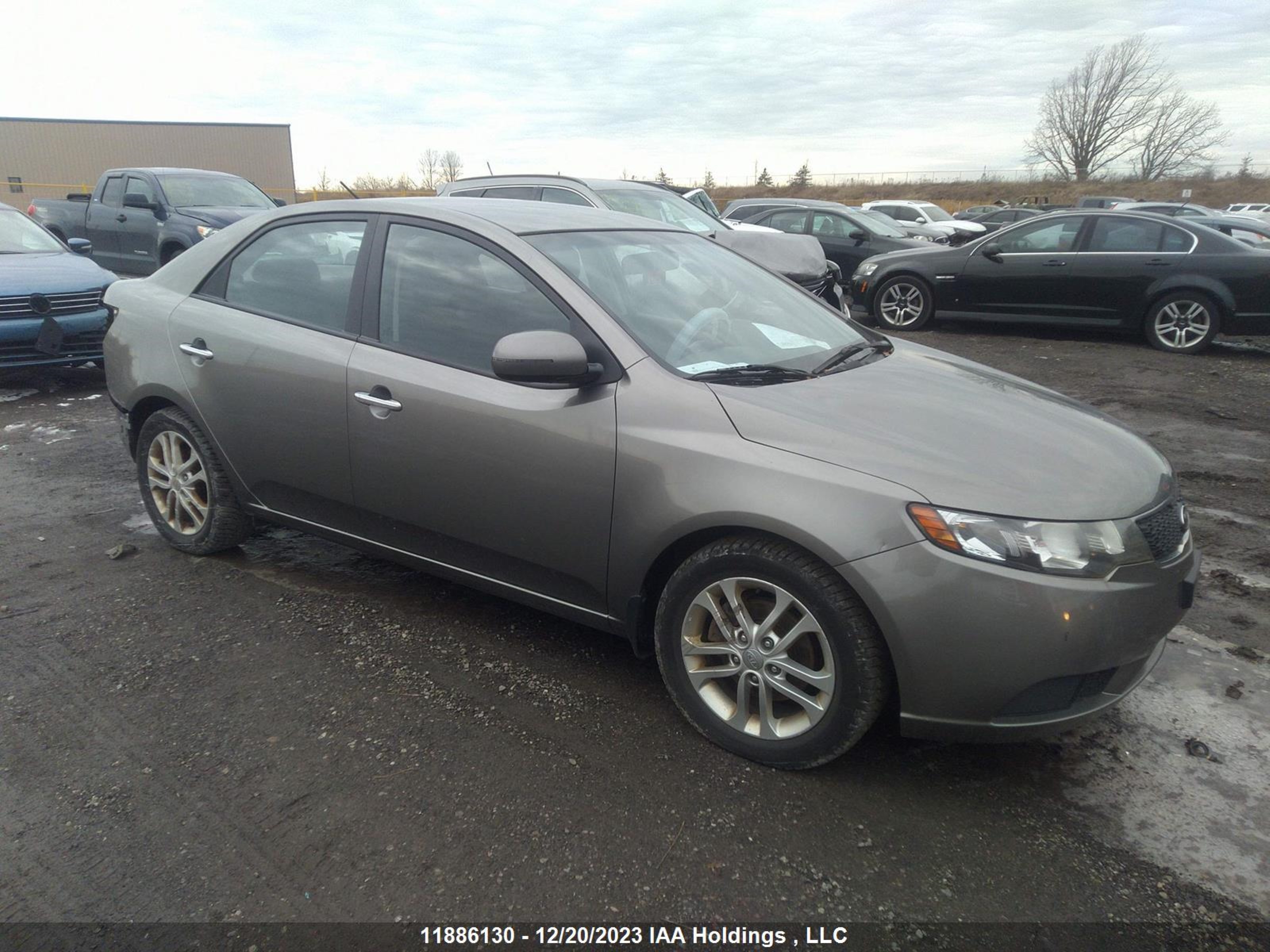 KIA FORTE 2012 knafu4a20c5634273