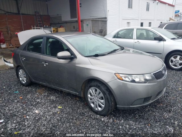 KIA FORTE 2013 knafu4a20d5654279