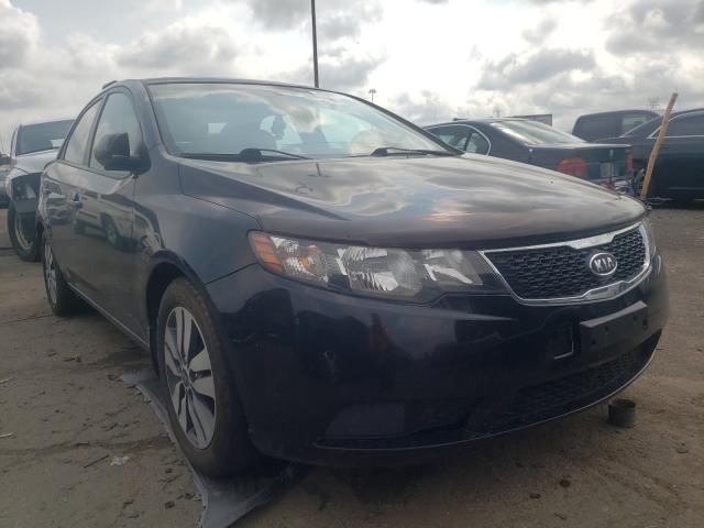 KIA FORTE EX 2013 knafu4a20d5658512