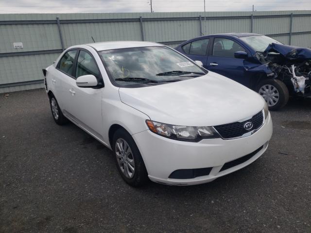 KIA FORTE EX 2013 knafu4a20d5702234