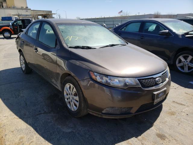 KIA FORTE EX 2013 knafu4a20d5704162