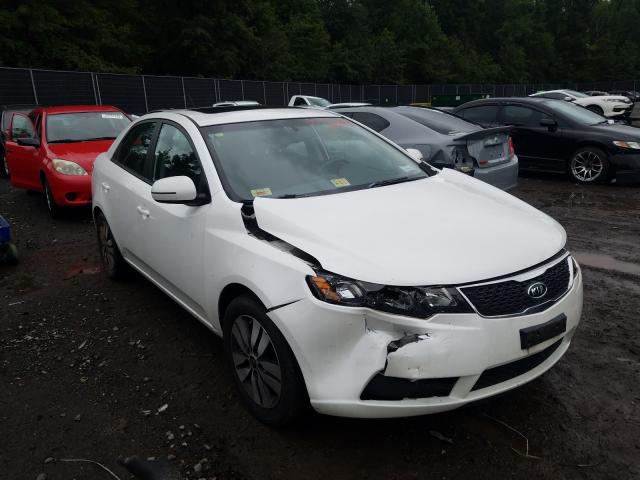 KIA FORTE EX 2013 knafu4a20d5716182