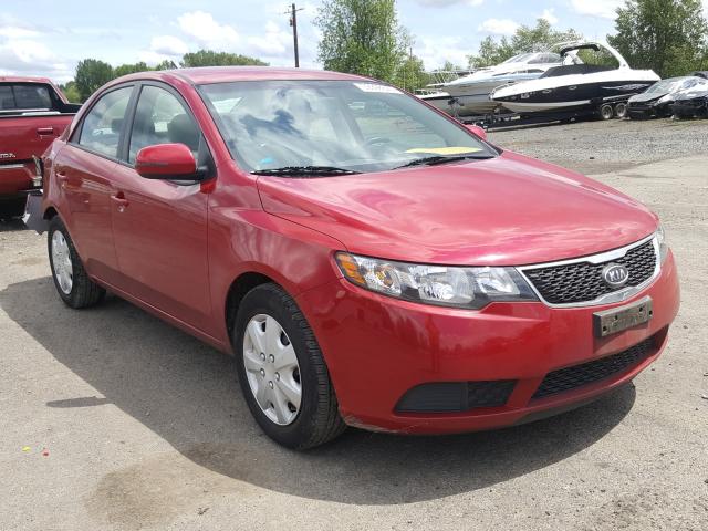 KIA FORTE EX 2013 knafu4a20d5729529