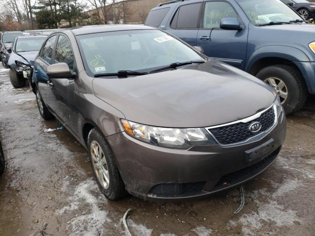 KIA FORTE EX 2013 knafu4a20d5730048