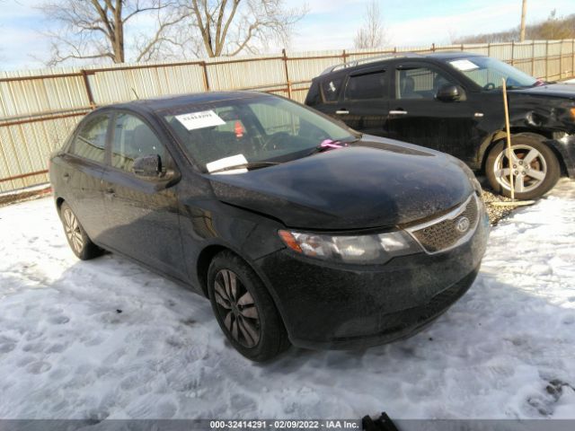 KIA FORTE 2013 knafu4a20d5739607