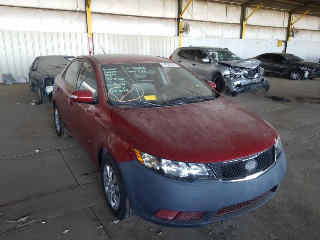 KIA FORTE EX 2010 knafu4a21a5049537