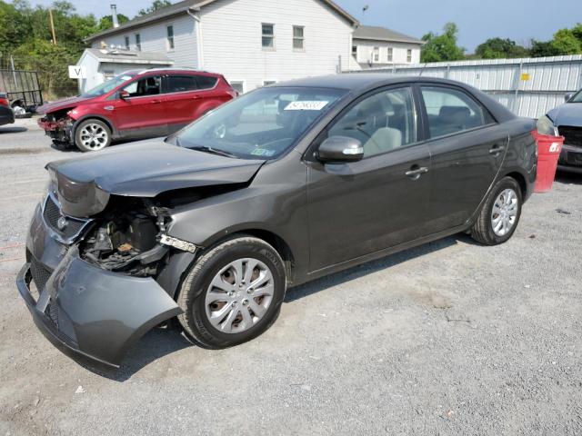 KIA FORTE EX 2010 knafu4a21a5060201