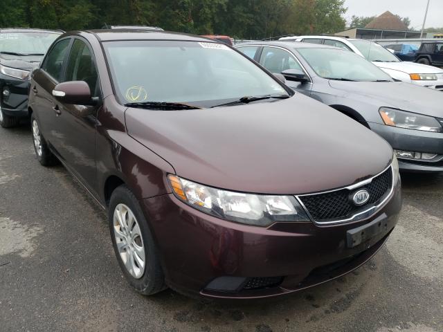 KIA FORTE EX 2010 knafu4a21a5108019