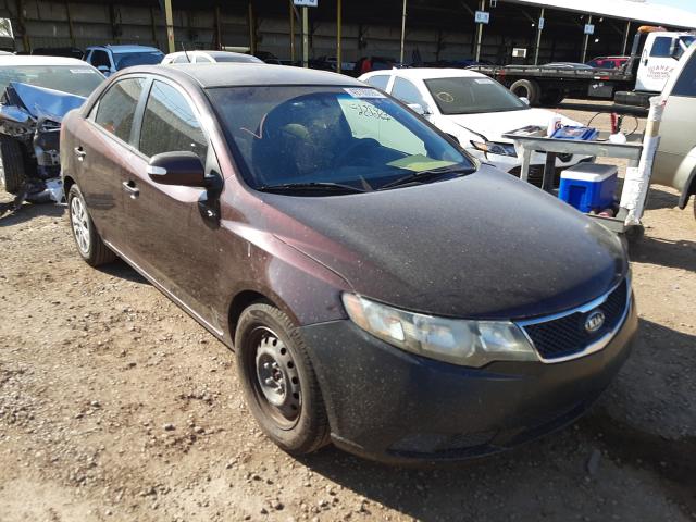 KIA FORTE EX 2010 knafu4a21a5116833