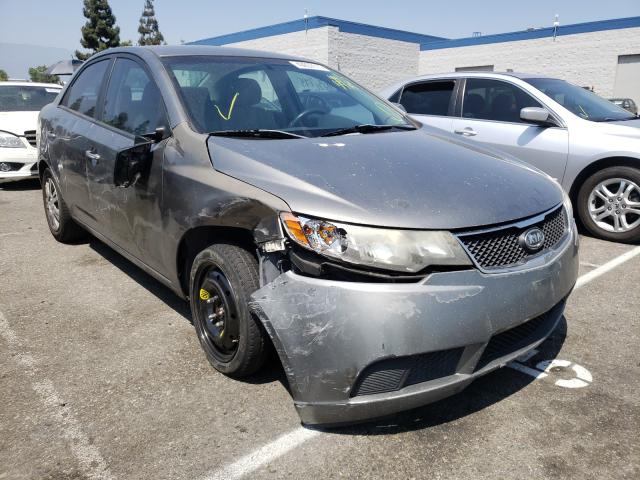 KIA FORTE EX 2010 knafu4a21a5142154