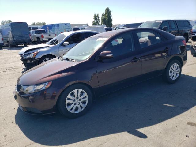 KIA FORTE 2010 knafu4a21a5144650