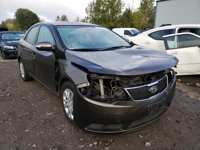 KIA FORTE EX 2010 knafu4a21a5162663