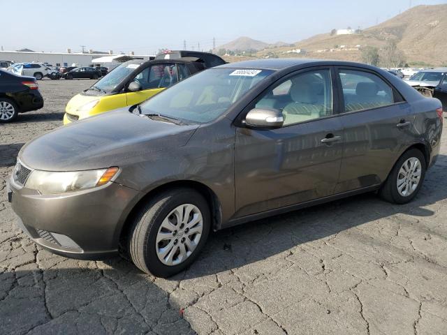 KIA FORTE 2010 knafu4a21a5218584