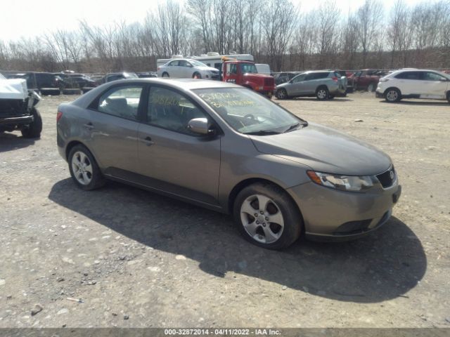 KIA FORTE 2010 knafu4a21a5244425