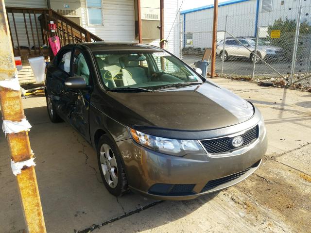 KIA FORTE EX 2010 knafu4a21a5255859