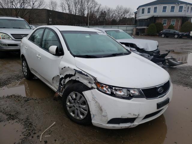 KIA FORTE EX 2010 knafu4a21a5263993