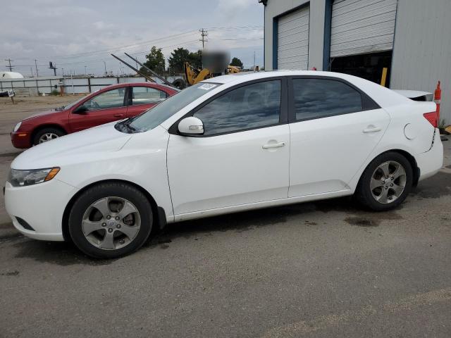 KIA FORTE EX 2010 knafu4a21a5270748