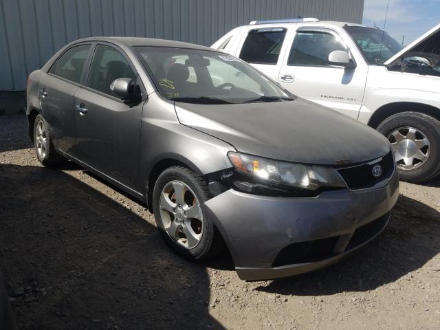 KIA FORTE EX 2010 knafu4a21a5279868