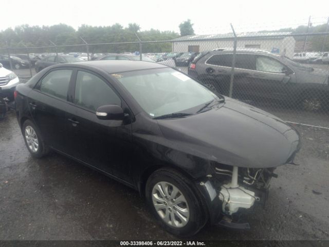 KIA FORTE 2010 knafu4a21a5283533