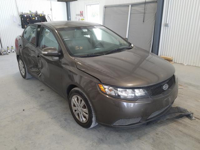 KIA FORTE EX 2010 knafu4a21a5307216