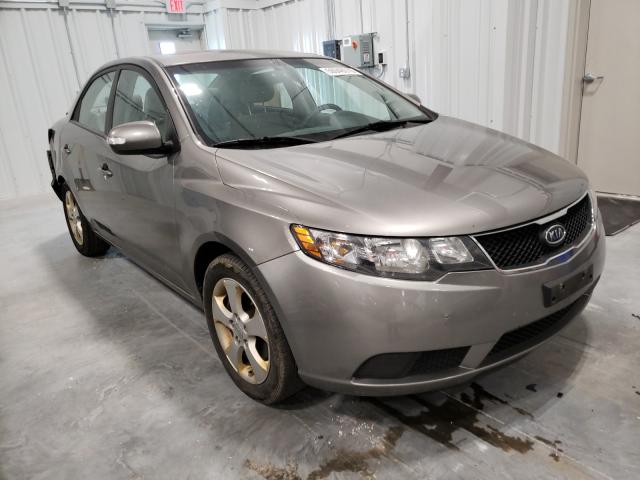 KIA FORTE EX 2010 knafu4a21a5308611