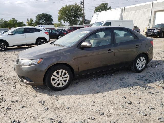 KIA FORTE EX 2010 knafu4a21a5808512