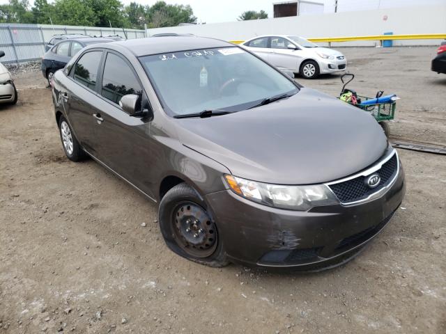 KIA FORTE EX 2010 knafu4a21a5816058