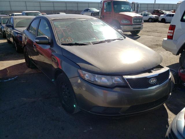 KIA FORTE EX 2010 knafu4a21a5824581