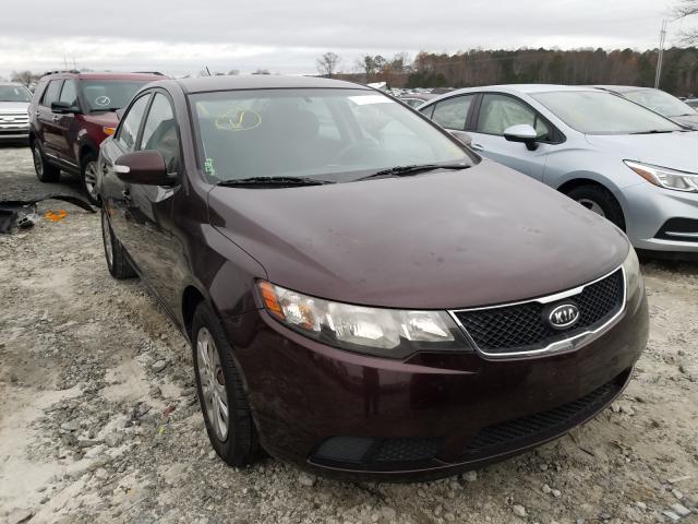 KIA FORTE EX 2010 knafu4a21a5844720