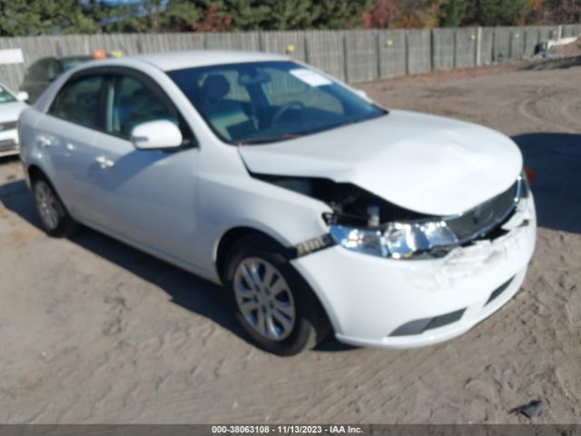 KIA FORTE 2010 knafu4a21a5849526