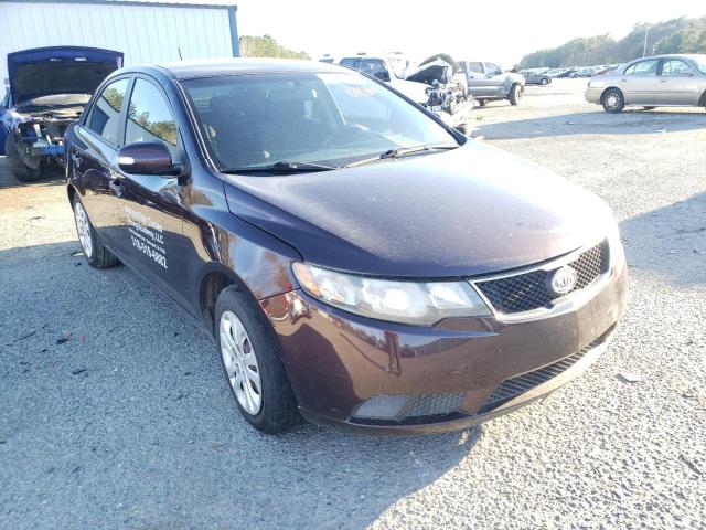 KIA FORTE EX 2010 knafu4a21a5849884