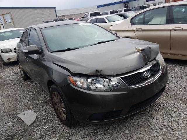 KIA FORTE EX 2010 knafu4a21a5862828