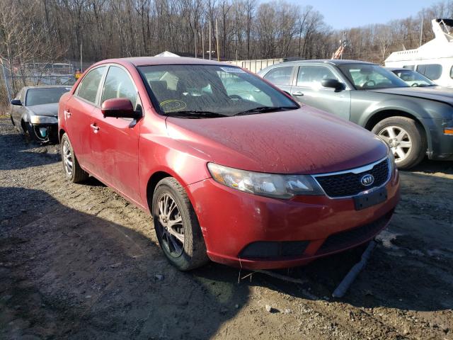 KIA FORTE EX 2011 knafu4a21b5326091