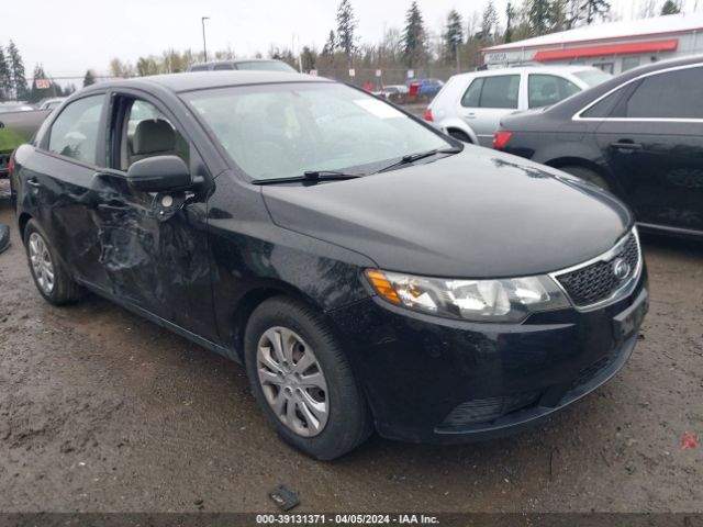 KIA FORTE 2011 knafu4a21b5407575