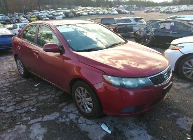 KIA FORTE 2011 knafu4a21b5418429